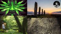 Paganism and the Wheel of the Year: Free Online Classes on Seasonal Celebrations